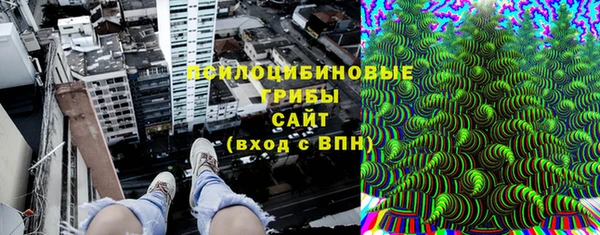 трава Аркадак