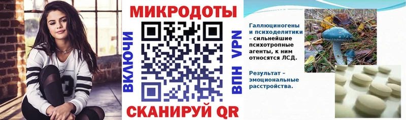 Галлюциногенные грибы Psilocybine cubensis  Суджа 